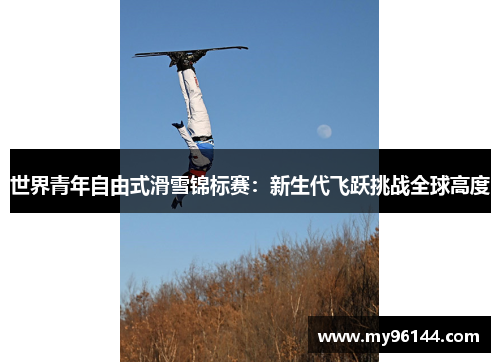 世界青年自由式滑雪锦标赛：新生代飞跃挑战全球高度
