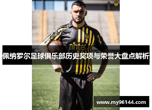 佩纳罗尔足球俱乐部历史奖项与荣誉大盘点解析