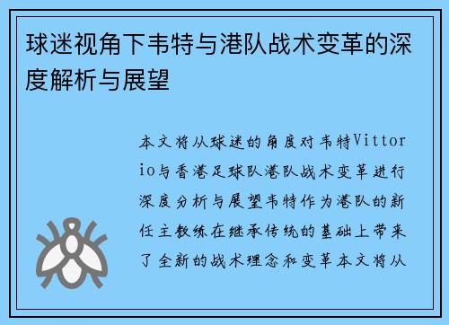 球迷视角下韦特与港队战术变革的深度解析与展望